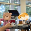 UR(제주시)-[용고로]-상-20 | [제주도 한경면 맛집] 솥밥 맛집 '금자매 식당' (주차, 솥밥, 분위기)