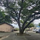 암곡와동 이미지