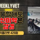 위클 이미지