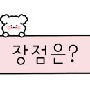 도그비앤비 이미지
