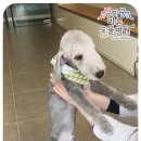경희궁 바른 동물병원 이미지