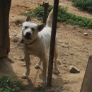 지에스농장 이미지