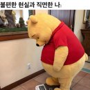 [일상/운동] 바벨 피트니스 합정, 운동습관 들이기 딱 좋아(feat.24시간 운영&amp;이벤트)
