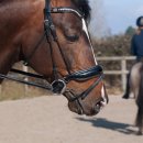 대구현풍초등학교 이미지