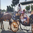 마리아어린이공원 이미지