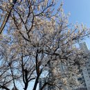 날나리헤어샵 네이버블로그