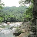 8월1일지리산대성동계곡산행안내 이미지