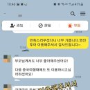 영진여행사 | 2025년5월 현지여행사/투어후기 /영진투어 이용해주셔서 감사합니다.