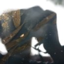 청송가든 이미지