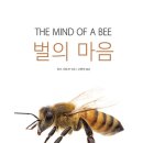 감정카 이미지