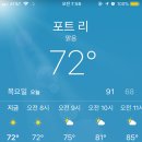 피자피오