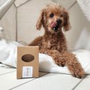 소문난 강아지 | 강아지 샴푸바 바스몽 노견 목욕 비누 첫 사용기