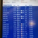 코코보노 고양이호텔 | 이동! 유나이티드 항공 후기 / 칸쿤 가성비 숙소 '알로프트' / 호텔존 맛집 '타코스리고' / 으른들의...