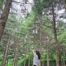 워커힐 더글라스하우스 패키지 라운지 호캉스 특가