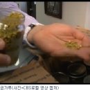 정직한일꾼들 이미지