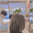 시즈펌헤어