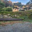 경기도 안성시 보개면사무소 | 경기도 안성 제초작업 안성시 보개면 기좌리 별장주택 제초제 살포까지