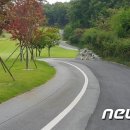 숙박시설 진출입로-1 뉴스1