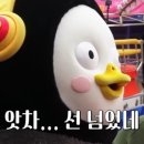 커피브릿지 이미지