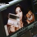 어반브러시 이미지