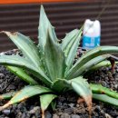 창전농장 이미지