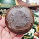 쉘위커피 | 커피랑 찰떡 조합! 쉘위 생크림디저트 카카오 리얼 후기