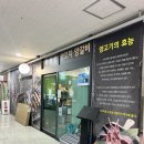 한성양꼬치 | 세종양꼬치맛집 한성양꼬치 솔직후기, 잡내 1도 없는 인생 양꼬치맛집,