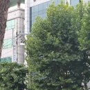 블루스카이보습학원주 | 대치동 은마 아파트 주변 수학 학원