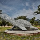 동화나라 애견 이미지