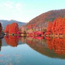 가본 사람보다 안 가본 사람이 더 많아? 자연의 아름다움 국내 여행지 이미지