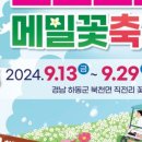 코스모스와 메밀가든 이미지