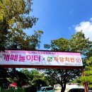 개떼놀이터 남양주 [애견운동장 강아지놀이터 펫 반려견] 이미지