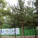 서울과학기술대학교 체육관 이미지