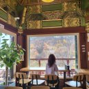 아름다운 바다 고성 여행(3)- 화암사, 속초곰치국, 엘로우송버드 카페