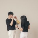 365일 이미지