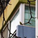 금호동 장미아파트 이미지