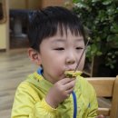속초백숙 맛집 싸리재토종닭, 상다리 부러질뻔..