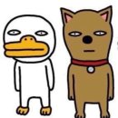 배불도기 | 어찌저찌 개헤엄