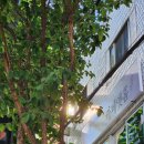 관악구청 앞 우측 이미지