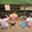 연보람목장 이미지