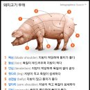 돼지고기 부위별 정보 이미지