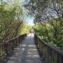 보통리 저수지 1 이미지