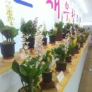 솔샘세차장 이미지