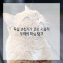 고려보청기 이미지