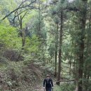 10.19 거제 옥포 덕포 둘레길&amp;10.24 국사봉 이미지