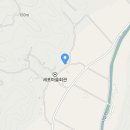노란담장 꽃차 네이버블로그