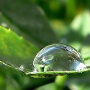 보석1로 이미지