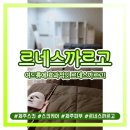 르네스화장품