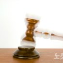 에리카 인베스트먼트 노컷뉴스