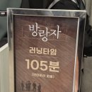 국립정동극장 세실 | 국립정동극장 세실 연극 방랑자 막공 후기(지민제 최윤서 외)